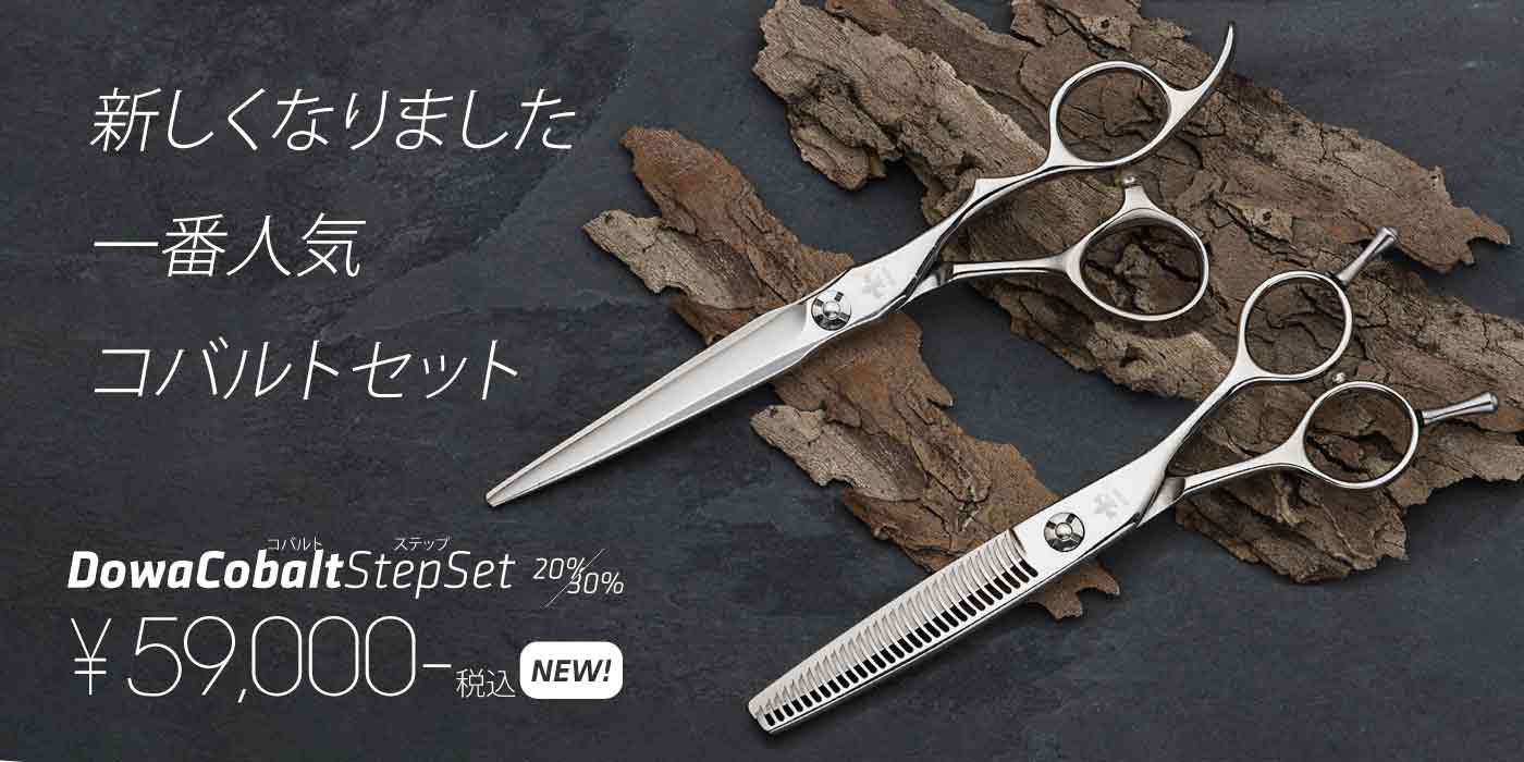 New! Cobalt Ergo Set コバルトステップセット
