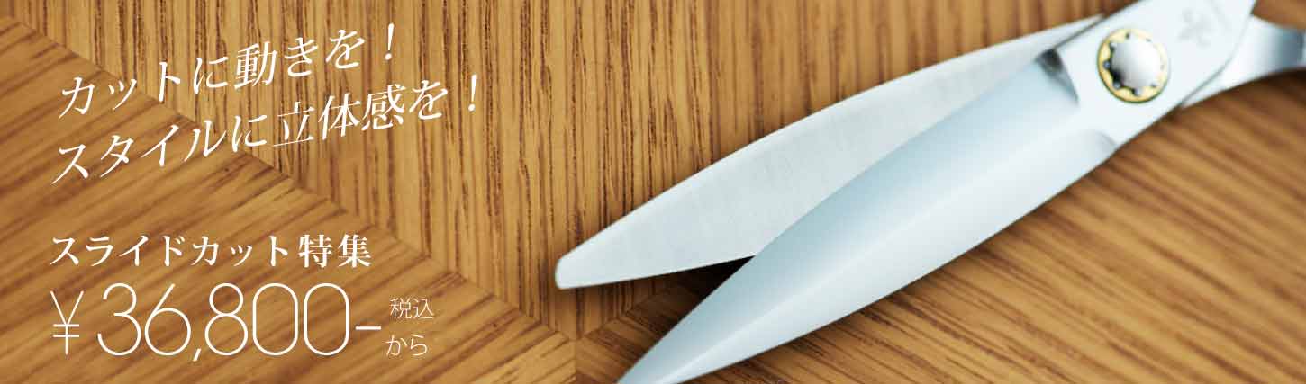 スタイルに動きを Slider Pro